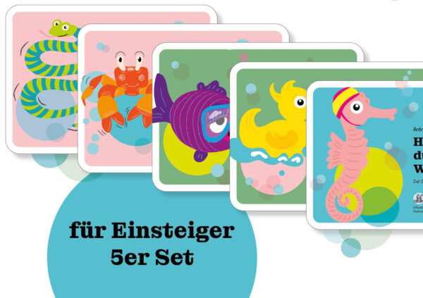 5er Set "Einsteiger"
